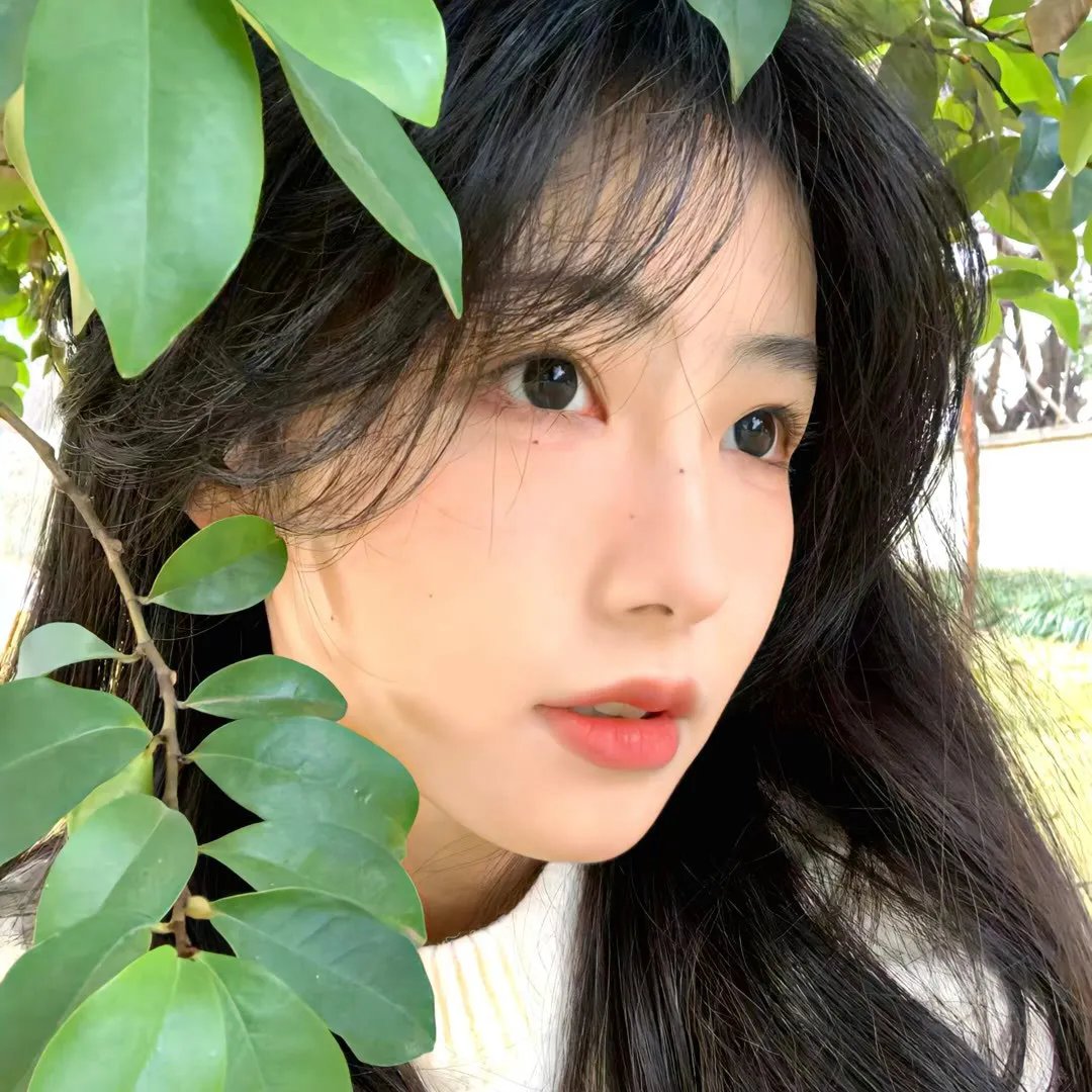 最想念的季节