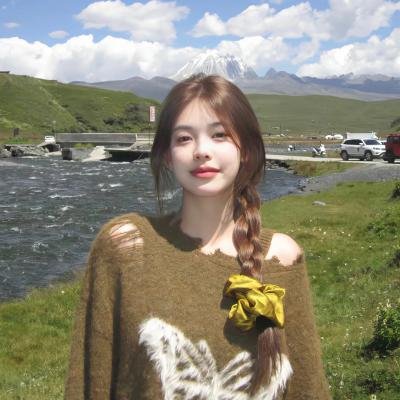 恐龙王